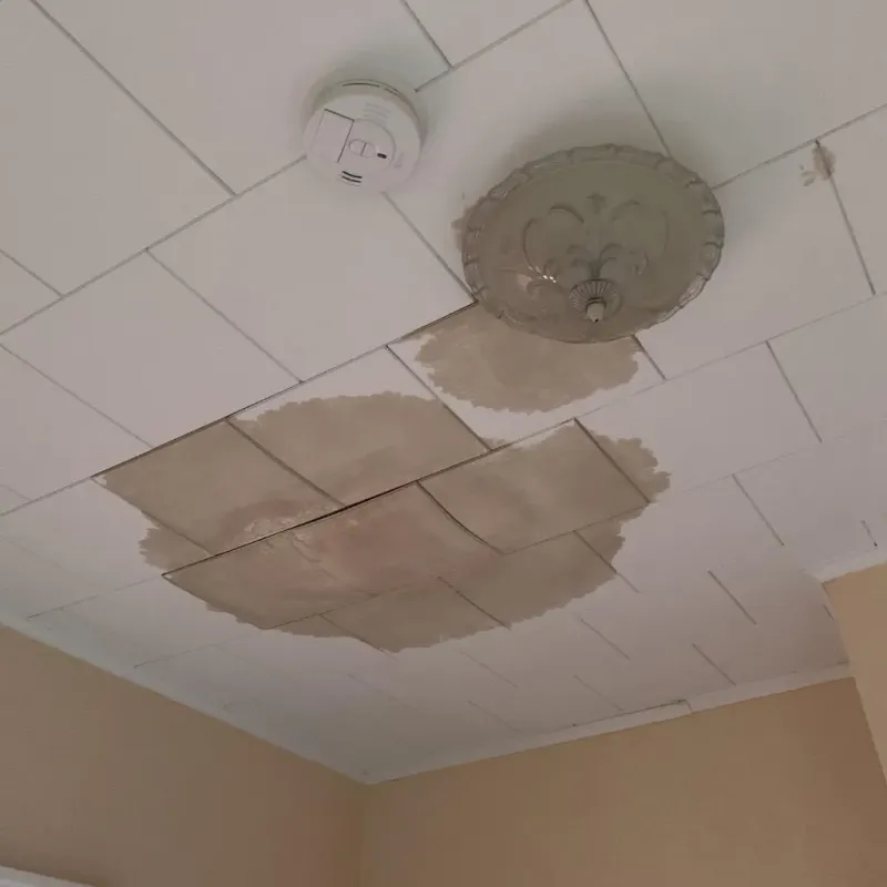Ceiling Water Damage Repair in De Witt County, IL