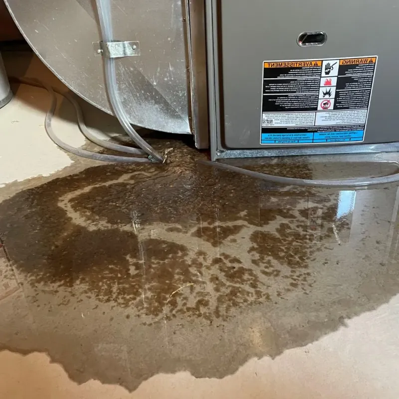 Pipe Burst and Leak Restoration in De Witt County, IL