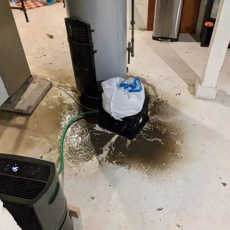Sewage Backup Cleanup Service in De Witt County, IL